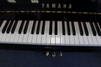 Yamaha B1 d